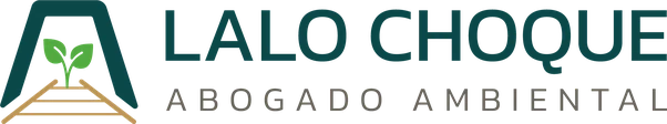 Lalo Choque · Abogado ambiental